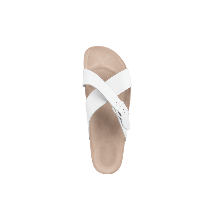 Cork White  